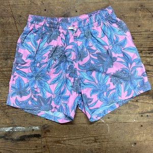 Chubbies swim